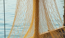 В Ейском районе возбуждено дело против браконьеров за отлов осетров