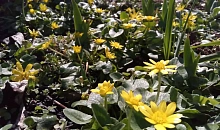 На Кубани побит температурный рекорд 1966 года на 1,6 градуса