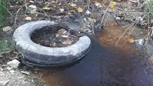 Прокуратура подтвердила сброс производственных отходов в реку Озерейку в Новороссийске