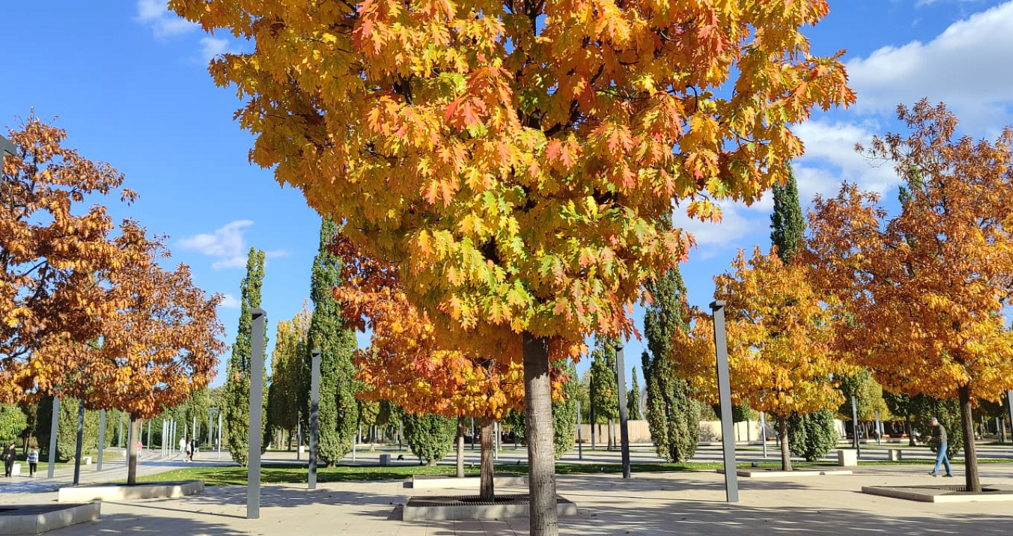 Синоптик рассказал, какая погода ждет жителей Кубани на грядущих выходных