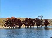 «Ковидные» каникулы на Кубани, в Ростовской области, Крыму и Адыгее: что необходимо знать россиянину перед путешествием на юг