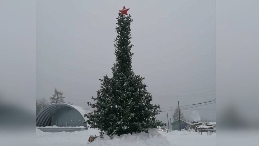 Жителей российского поселка возмутила новогодняя елка «непристойной формы»