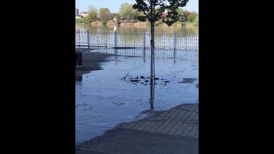 В Краснодаре на Кубанской набережной появился канализационный «фонтан» (ВИДЕО)