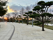 В Краснодаре и крае в конце рабочей недели ожидается ветреная погода с дневным теплом до +10°С и ночными заморозками