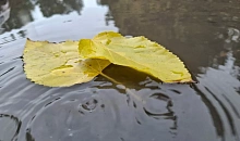 В Краснодарском крае циклон принес дожди и мокрый снег