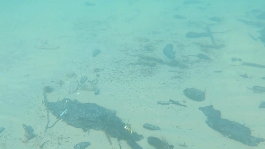 Подводный дрон снял на видео куски мазута на дне Черного моря    