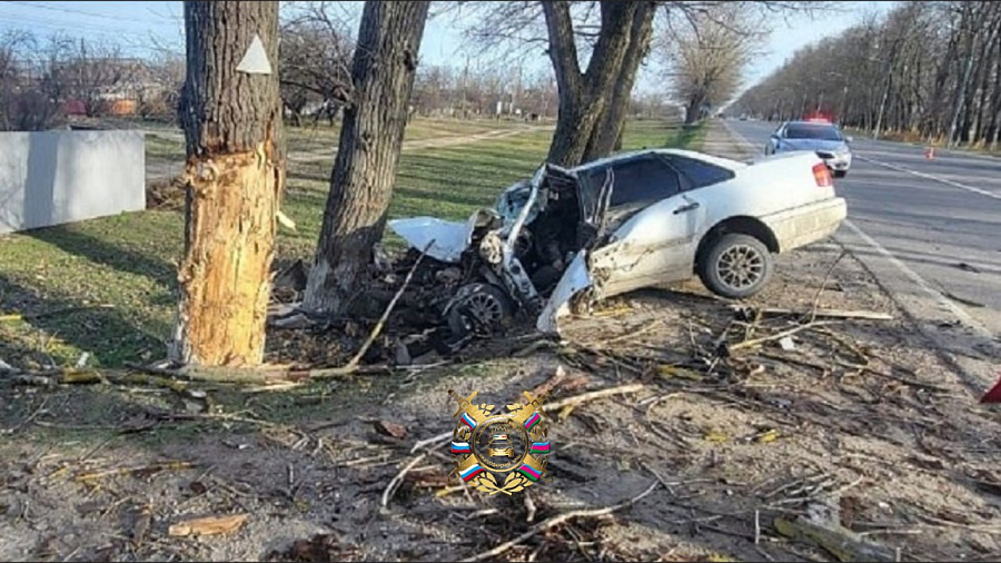 На Кубани водитель Volkswagen погиб в ДТП с деревом