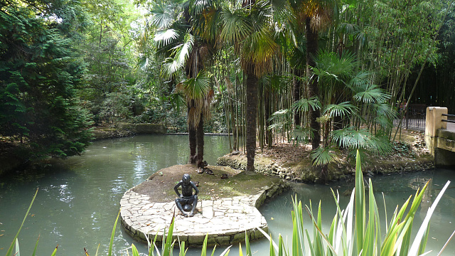 В Сочи американские красноухие черепахи атакуют водоемы