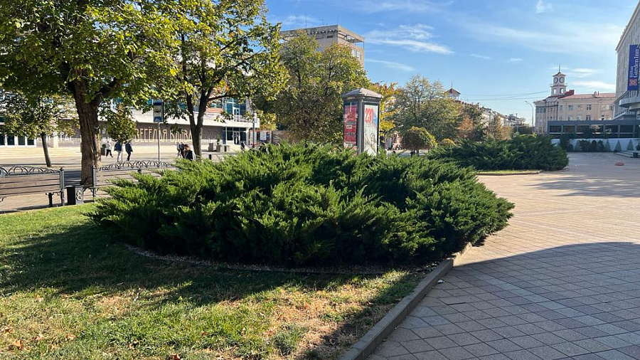 В Краснодаре и крае в субботу погода преподнесет сюрприз: осеннее лето с температурой +28°С и порывистым ветром