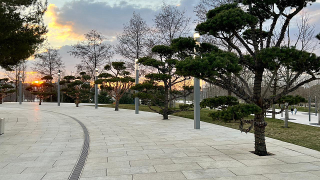 В Краснодаре и крае в конце рабочей недели ожидается ветреная погода с дневным теплом до +10°С и ночными заморозками