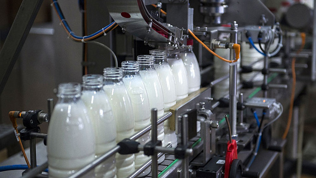 Сделано на Кубани. Чем Краснодарский край кормит страну