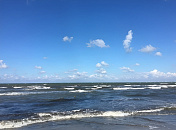 Погружение за мазутом: дайверы рассказали, что нашли у берегов Анапы