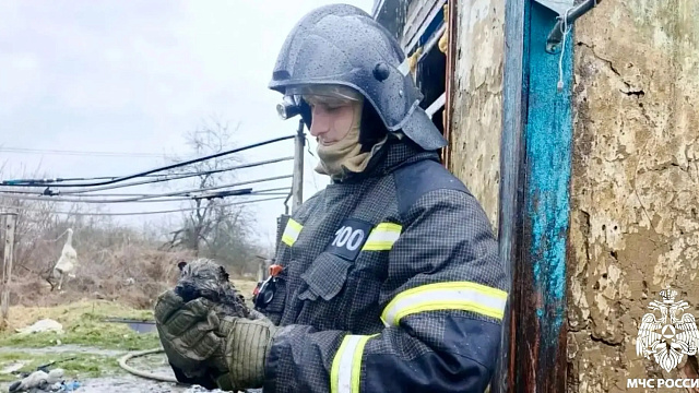 На Кубани пожарные вытащили из горящего дома щенка 