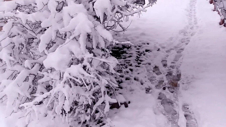 Власти Кубани полностью провалили подготовку к зиме