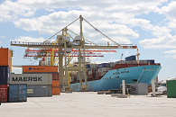 Египет, Турция и Абхазия. Стали известны объемы импорта мандаринов в Краснодарский край