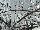 Торговые центры уходят из эпохи шопинга в эру развлечений