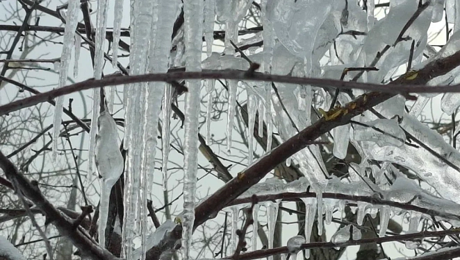 Кубань страдает от «температурных качелей» из-за глобального потепления