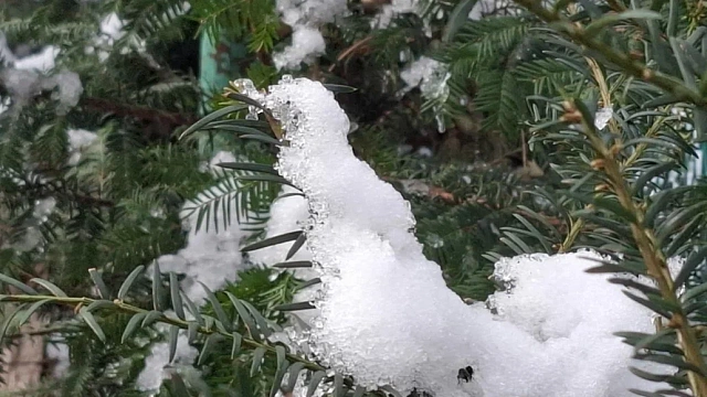 Мокрый снег накроет Кубань в выходные