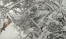 В Краснодаре ночь с 13 на 14 января была самой холодной с начала зимы