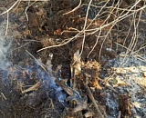 Победительница конкурса красоты изуродована в Казани после концерта «Тату»