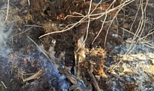 В Геленджике потушили лесной пожар на площади 2 га 