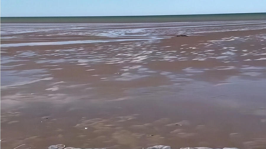 Азовское море ушло из Приморско-Ахтарска, обнажив дно с мертвыми медузами