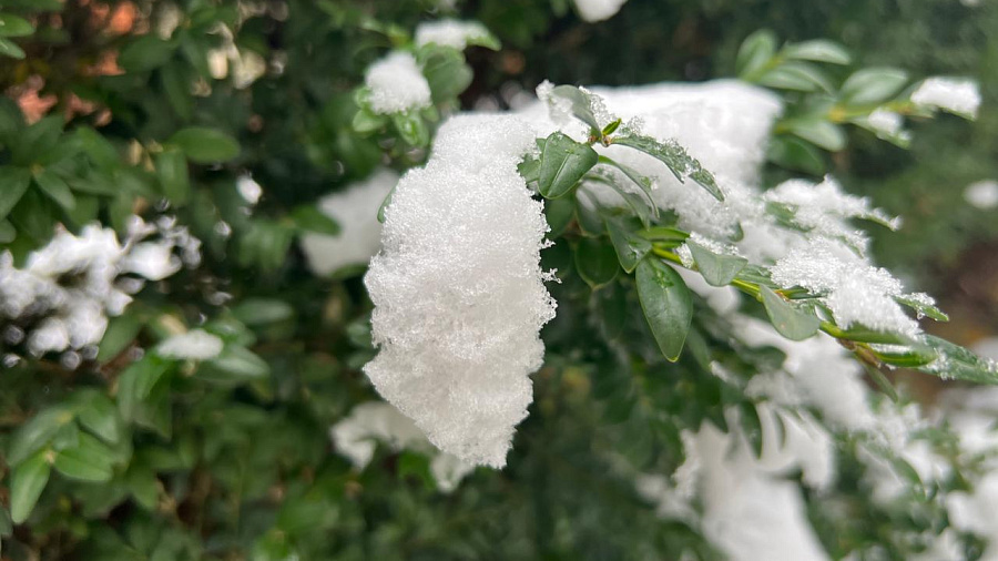 Аномальные морозы до –22°C и гололедица: в Краснодаре и крае в середине рабочей недели прогнозируют экстремальную погоду