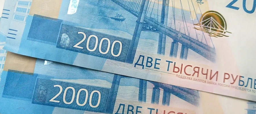 Штрафы до 150 тысяч: вейпы и алкоголь запретили продавать у школ Краснодара