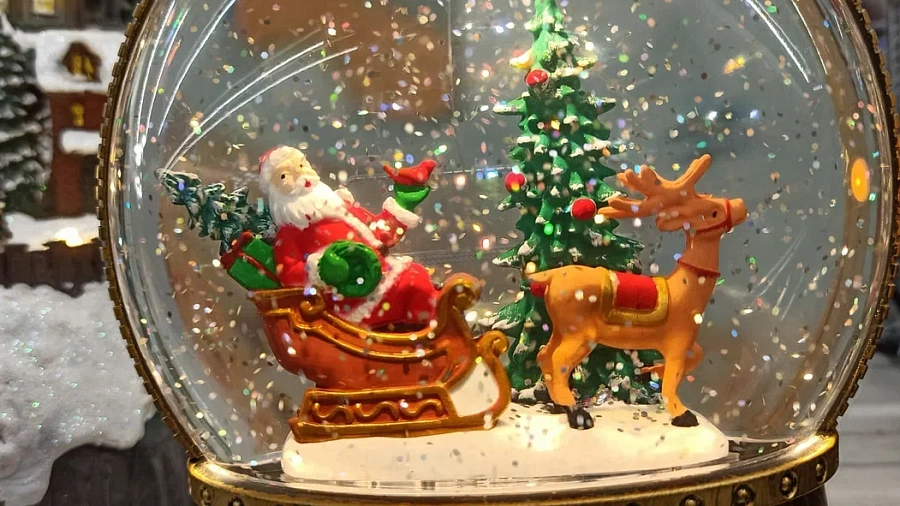 Россияне готовы платить миллионы за новогодние туры в Сочи