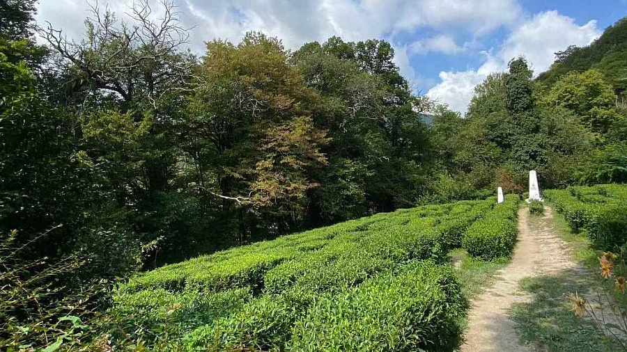 В Сочи запустили трехуровневый квест-маршрут для любителей приключений