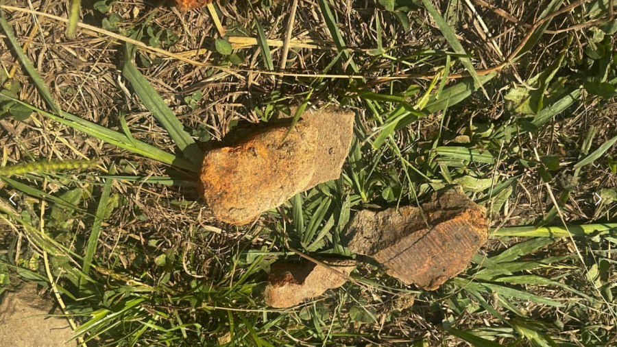 В Сочи археологи приступили к раскопкам на месте древней пристани