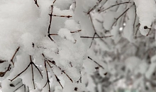 Штормовое предупреждение в Сочи и Сириусе продлили до 14 января 