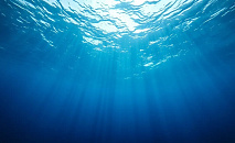 В Госдуме предложили запретить блокировать Telegram и WhatsApp*