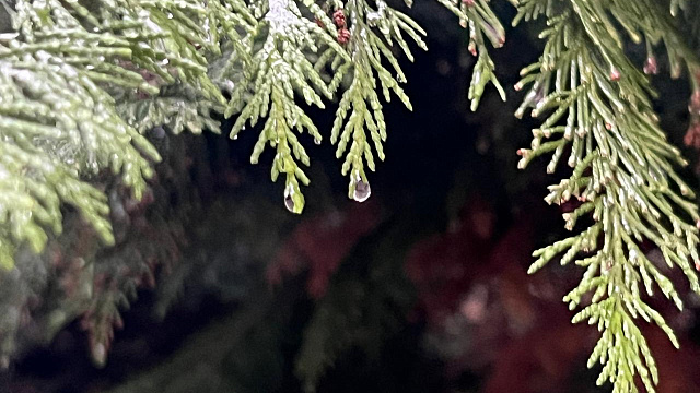 В Краснодаре и крае в воскресенье прогнозируется ненастная погода: сильные дожди, мокрый снег в горах и штормовой ветер