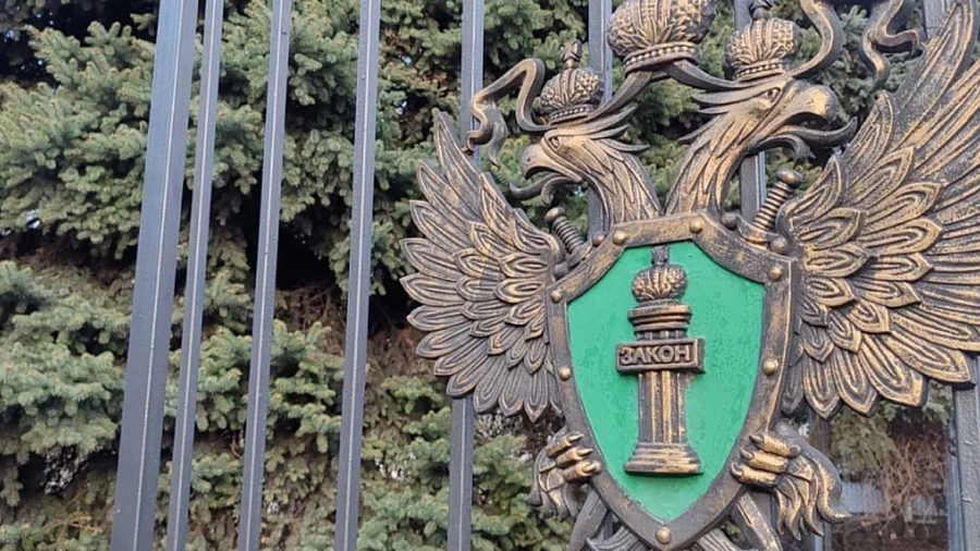 Приемные родители из Краснодара бросили ребенка-инвалида в Абхазии 