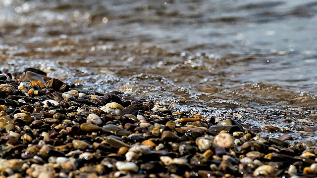 В Краснодарском крае на берегу реки нашли мумифицированный труп