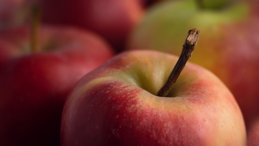 В Туапсе задержали более 60 тонн зараженных яблок из Турции
