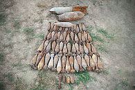В Краснодарском крае обнаружили более 65 боеприпасов ВОВ во время работ в саду