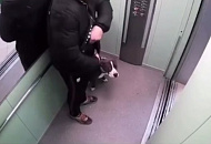 Вокруг модельного агентства из Краснодара разгорается скандал из-за файлов Эпштейна