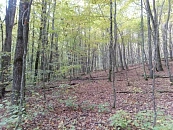 Назван завтрак, который убивает поджелудочную железу