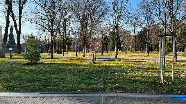 Что скроет утренний туман?: В Краснодаре и крае 19 декабря ожидается погода с прояснениями и контрастными температурами