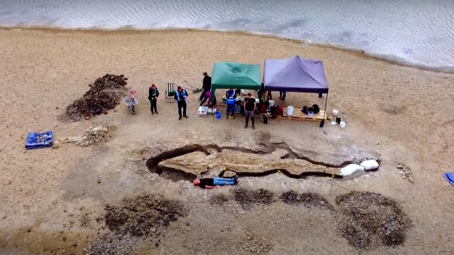 В Великобритании на пляже нашли скелет гигантского «морского дракона»