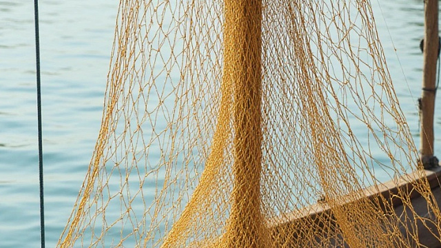 В Ейском районе возбуждено дело против браконьеров за отлов осетров