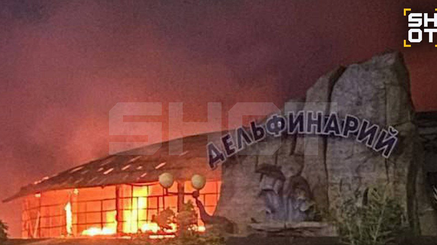 В Ейске ночью загорелись дельфинарий и крокодиловая ферма