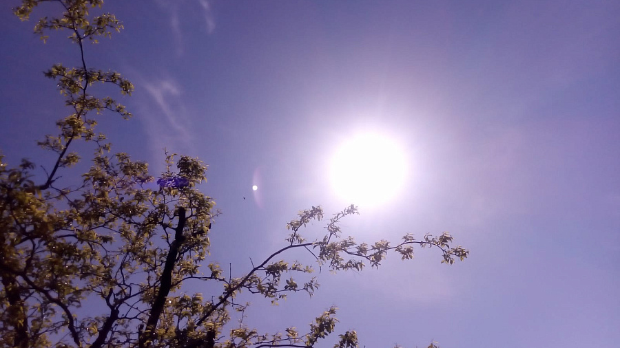 Жителей Краснодарского края предупредили об «опасном солнце»
