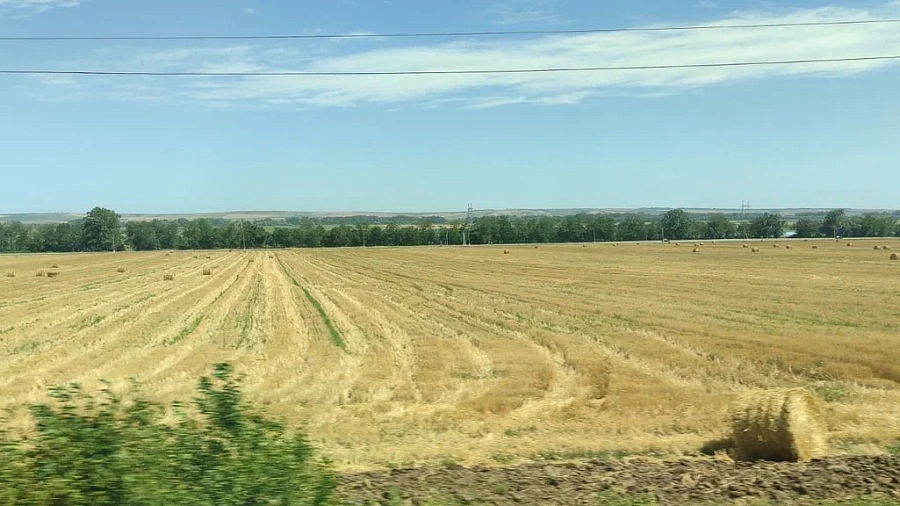 С 1 сентября на Кубани запретят превращать сельхозугодья в дачные участки