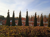 В Краснодаре и крае в конце рабочей недели погода сохранит тёплый осенний сценарий