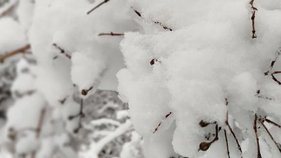 Снегопад в Москве выбил из расписания 17 рейсов в аэропортах Кубани 26 декабря
