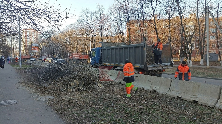 В мэрии Краснодара объяснили массовую вырубку деревьев на улице Зиповской