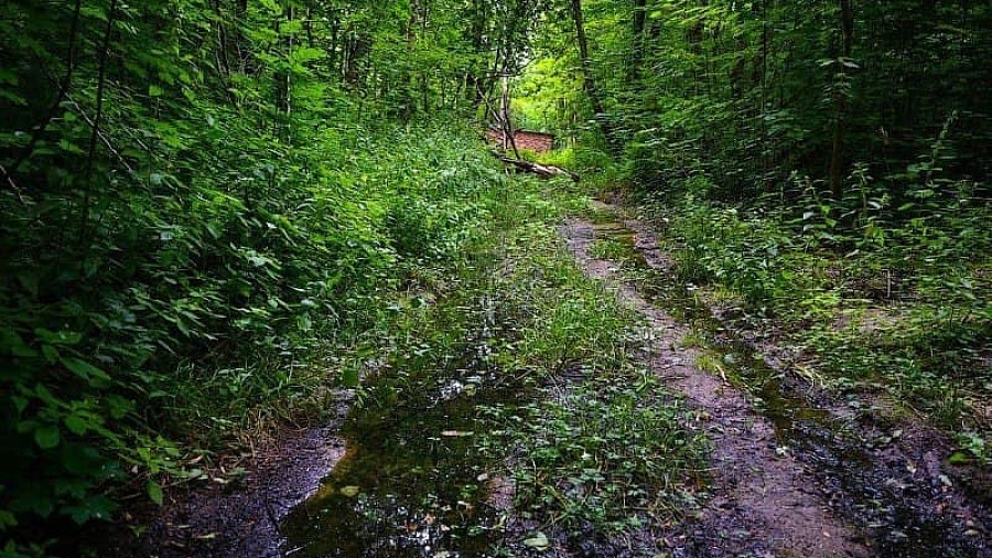 В Краснодаре в месте предполагаемого слива нечистот обнаружили недопустимое содержание азота и фосфора в почве